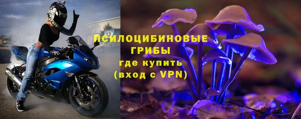 ПСИЛОЦИБИНОВЫЕ ГРИБЫ Беломорск