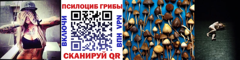 Псилоцибиновые грибы Cubensis  Очёр 