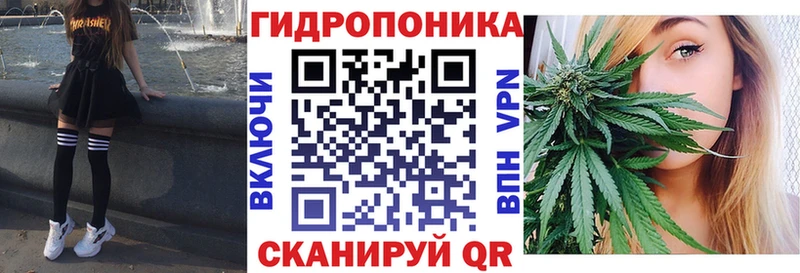 купить наркотик  mega как зайти  Марихуана гибрид  Очёр 